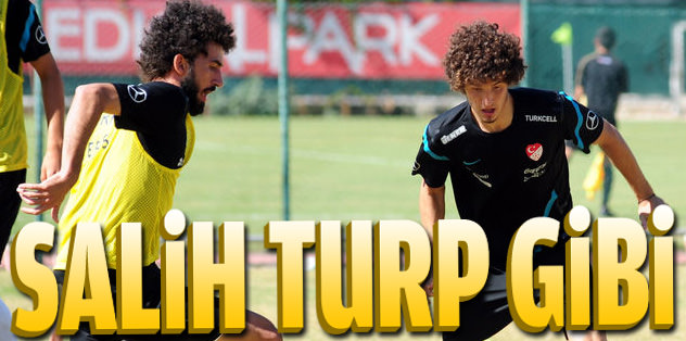 Salih turp gibi