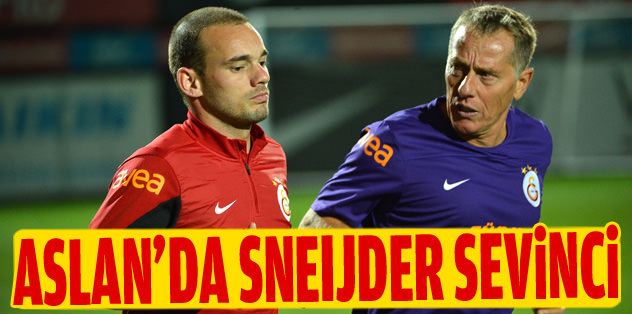 Sneijder sevinci