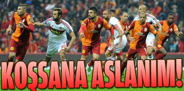 Koşsana Aslanım!