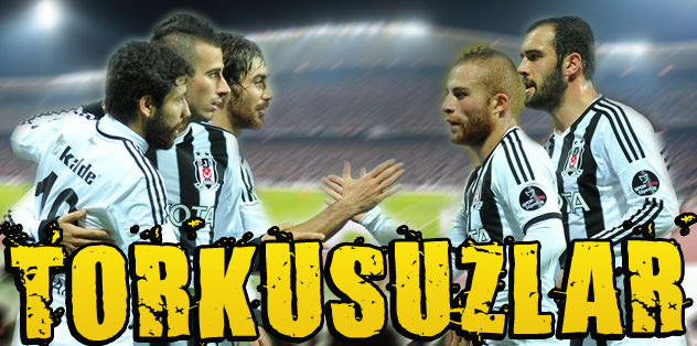 Torkusuzlar